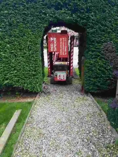 go-anyw-5-600x800 (1)